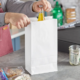 12lbWhite (bundle)