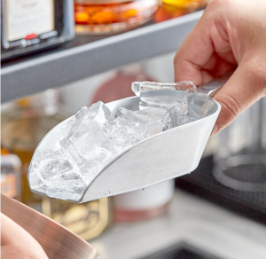 6ozSCOOP (ea)